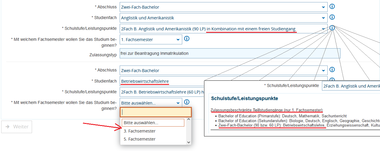 Erstfach Anglistik und Amerikanistik mit freiem Teilstudiengang Betriebswirtschaftslehre